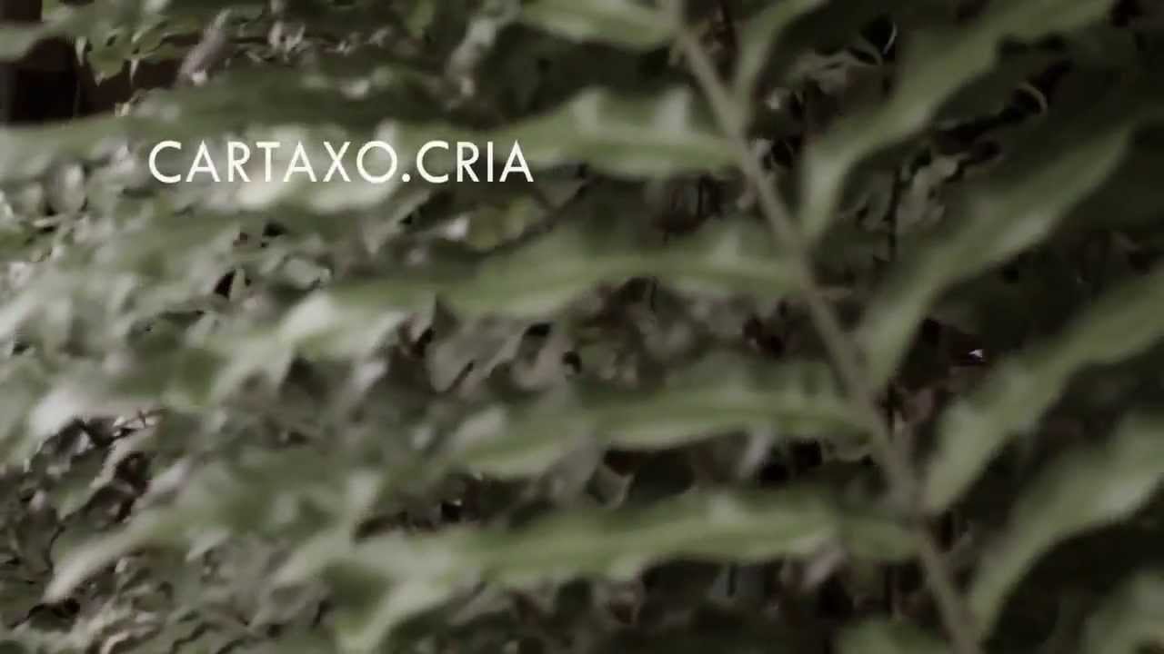 OQUADRO EM EST&Uacute;DIO - GRAVA&Ccedil;&Atilde;O @COAXO DO SAPO