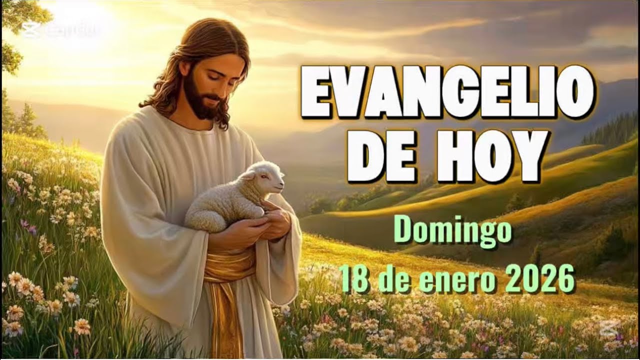 Evangelio de Hoy | Domingo 18 | La Palabra que renueva nuestra fe 🙌🏻🙏🏻