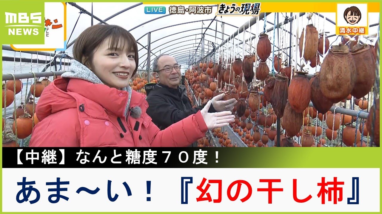 『幻の柿』を使ったあま～い干し柿　お値段は１個５００円超！干し柿を使ったアレンジレシピも紹介　徳島・阿波市「阿波ノ北方農園」【現場から生中継】（2023年12月21日）