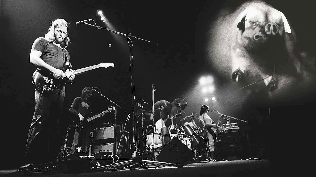 Pink Floyd - Pigs (Three Different Ones) 1977-02-28