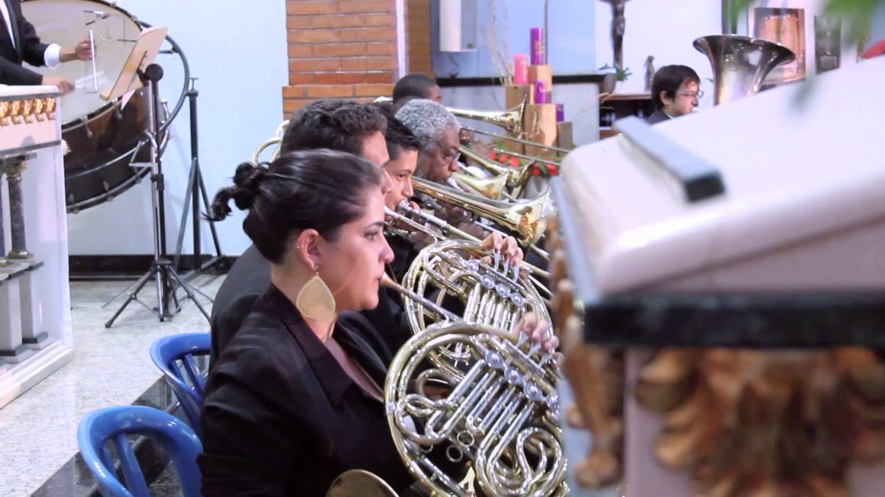 RAUL SEIXAS IN CONCERT