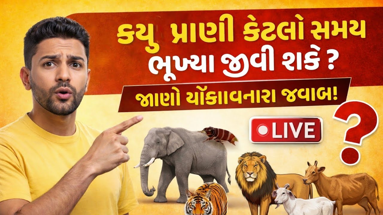 કયું પ્રાણી કેટલો સમય ભૂખ્યા જીવી શકે? | A-Z Animal Survival | LIVE