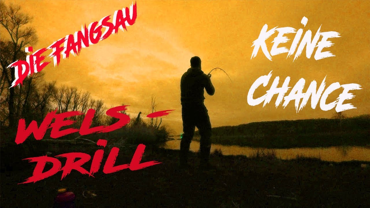 Welsdrill - beim Zander angeln - Keine Chance - Die Fangsau
