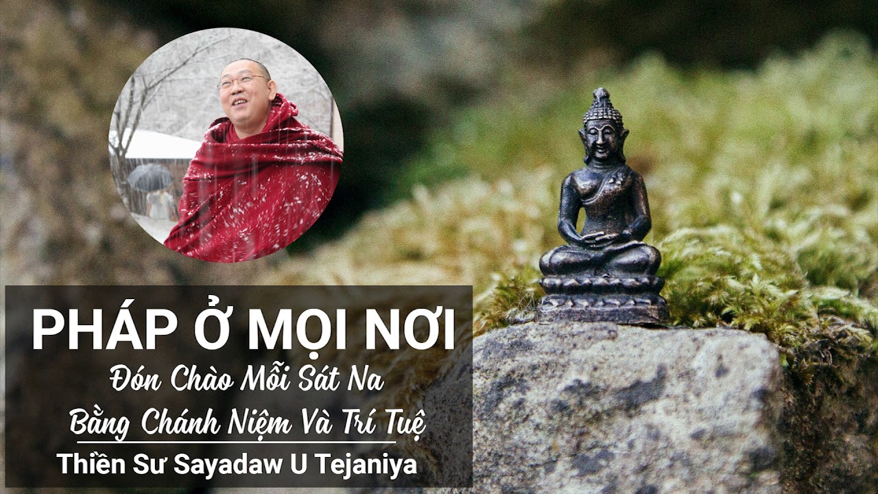 Pháp Ở Mọi Nơi - Đón Chào Mỗi Sát Na Bằng Chánh Niệm Và Trí Tuệ - Thiền Sư Ashin Tejaniya