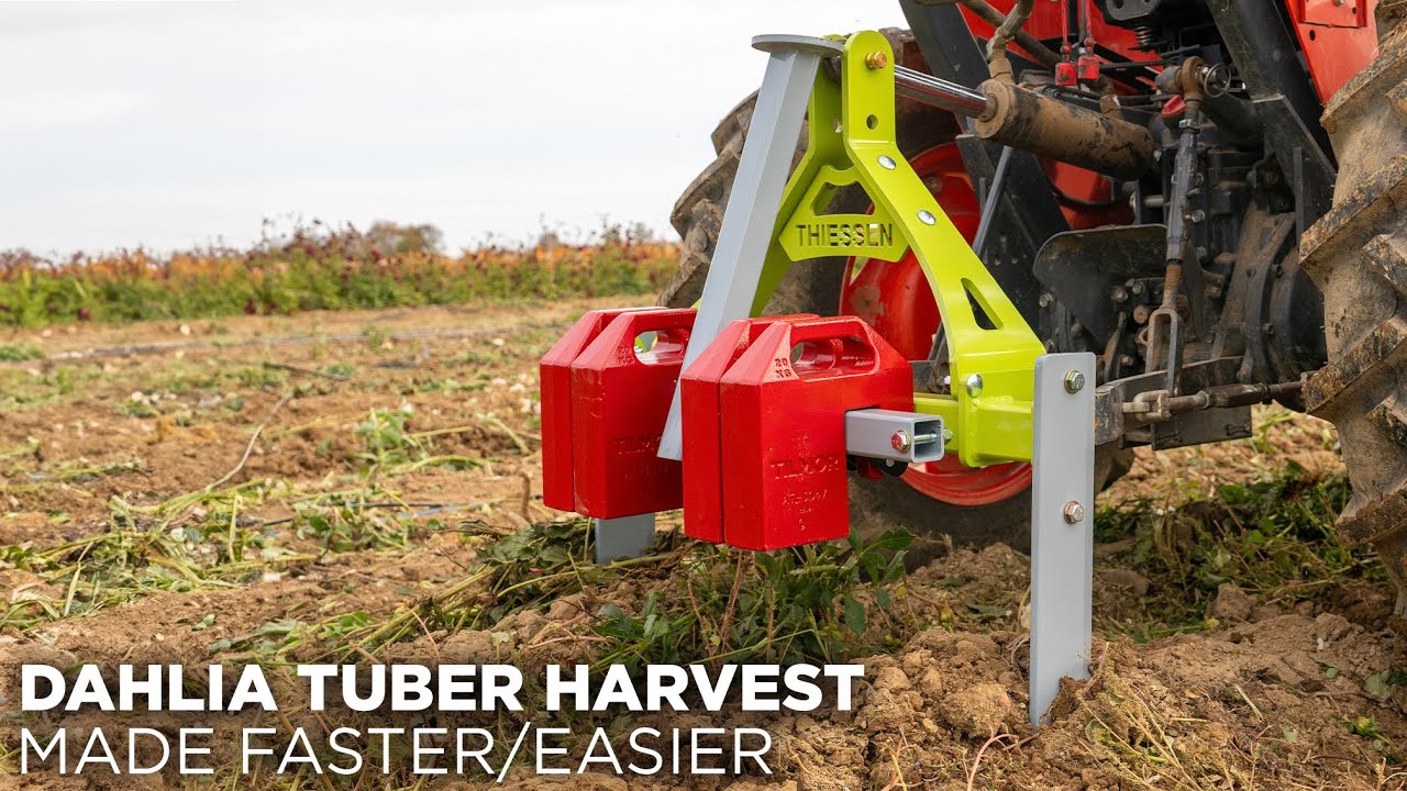 Undercutter: Harvest Dahlia Tubers With 95% Less Hand Labor