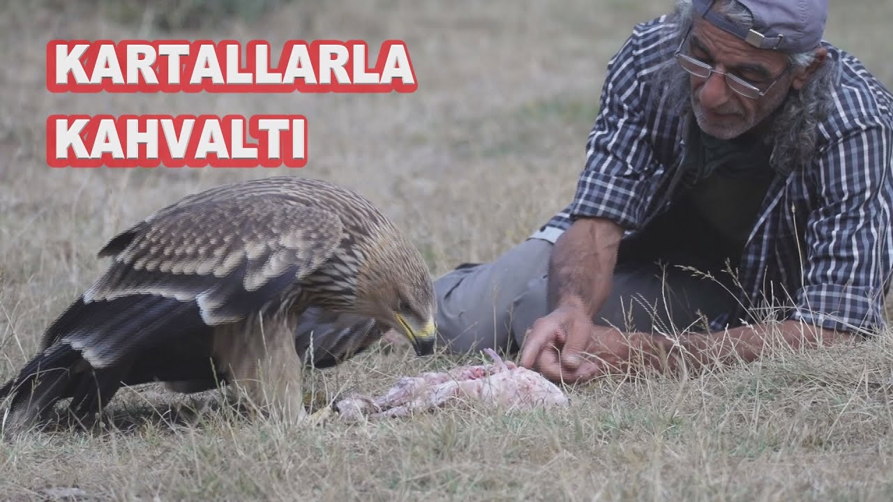 KARTALLARLA KAHVALTI