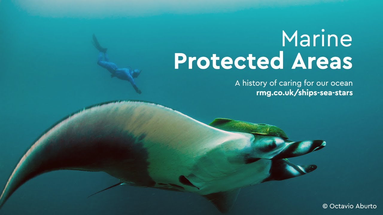 Marine Protected Areas | Ships, Sea & Stars