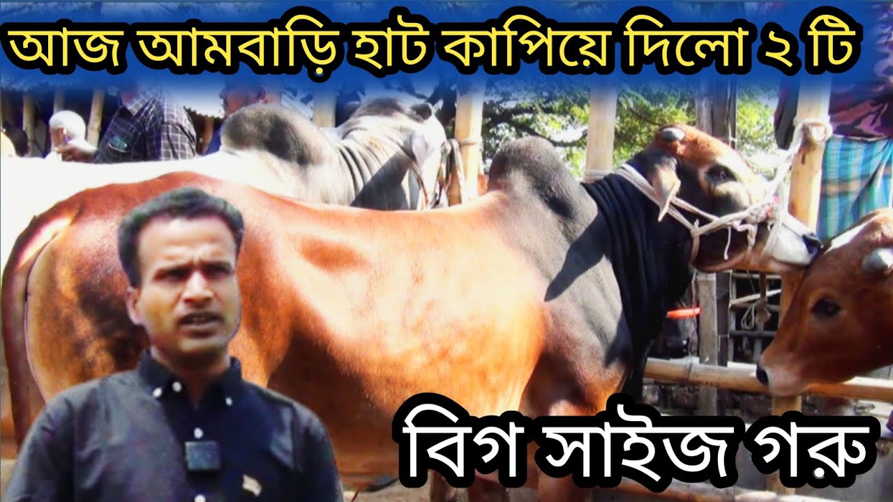 @২১/১১/২৫ 