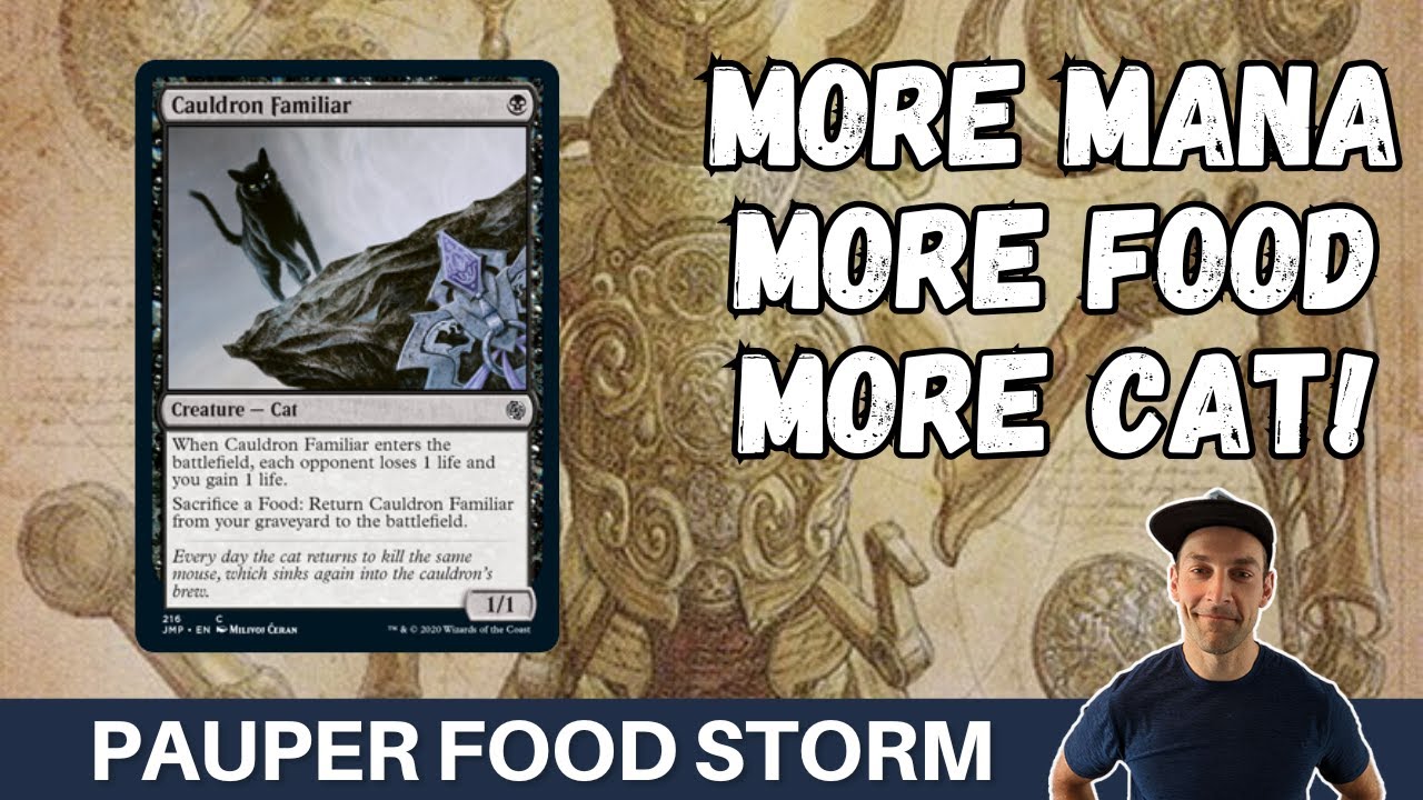 GO BIGGER?! Pauper Cat Food Combo brew keeps getting more interesting! Food Storm!