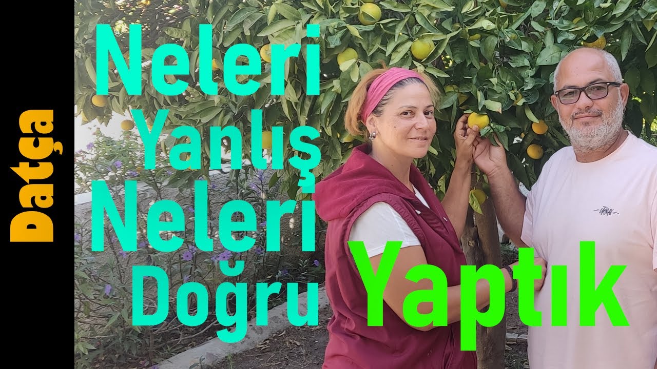 Tam Zamanlı Karavan Yaşamı