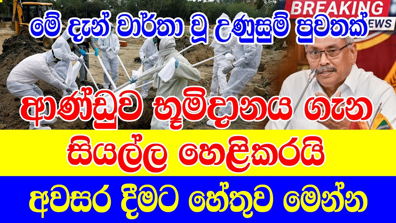 APE PUWATH News Just Here is another special news just received