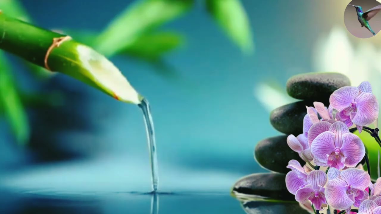 Fall Asleep Fast 🌙 Bamboo Water Sounds & Calming Music for Deep Sleep, Relaxation & Meditat