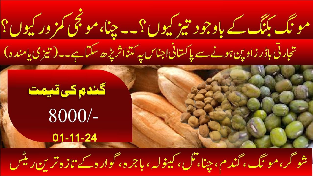 Moong repot in future | Wheat price and demand feeds mill | kala chana supply Austraila booking | bk