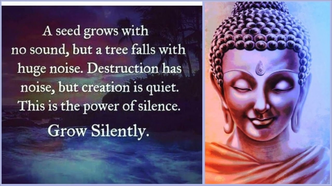 Life Changing Quotes From Budda # Day 25 | Pure Devine Energy