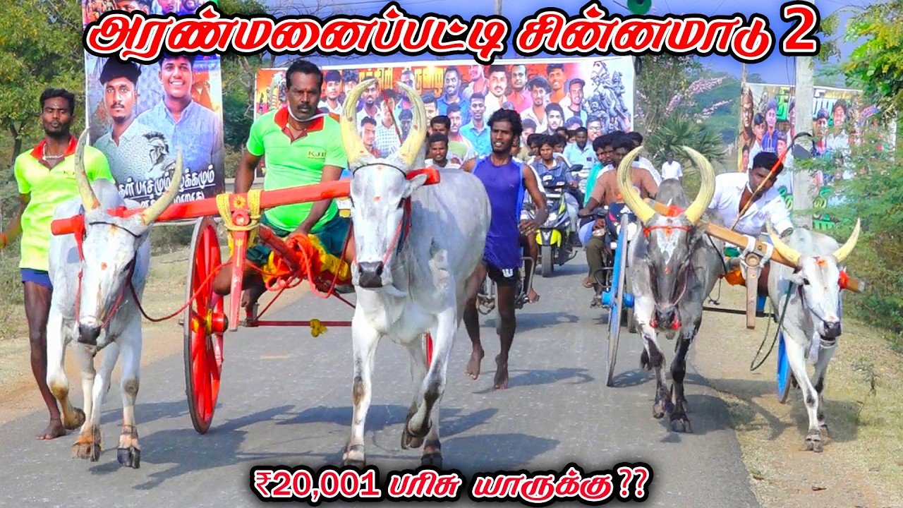 2அரண்மனைப்பட்டி-சின்னமாடு-பந்தயம்_17.02.2026_V_Photography