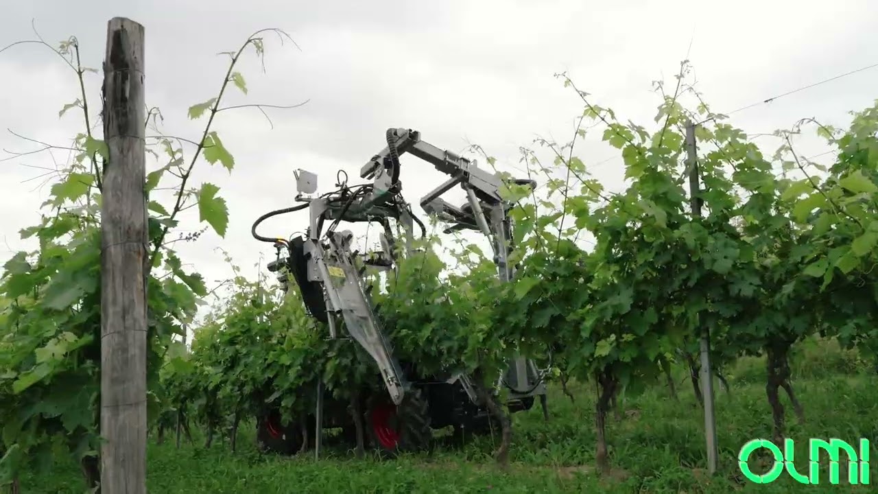 LEGATRICE, PALIZZATRICE PER TRATTORE GOMMATO, VINE TUCKING MACHINE FOR TRACTORS, Laubhefter Olmi