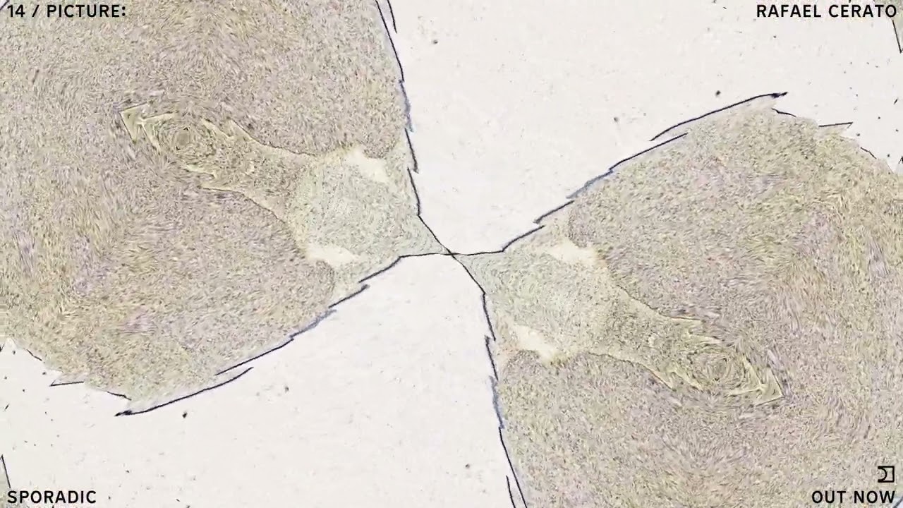 Rafael Cerato - Sporadic