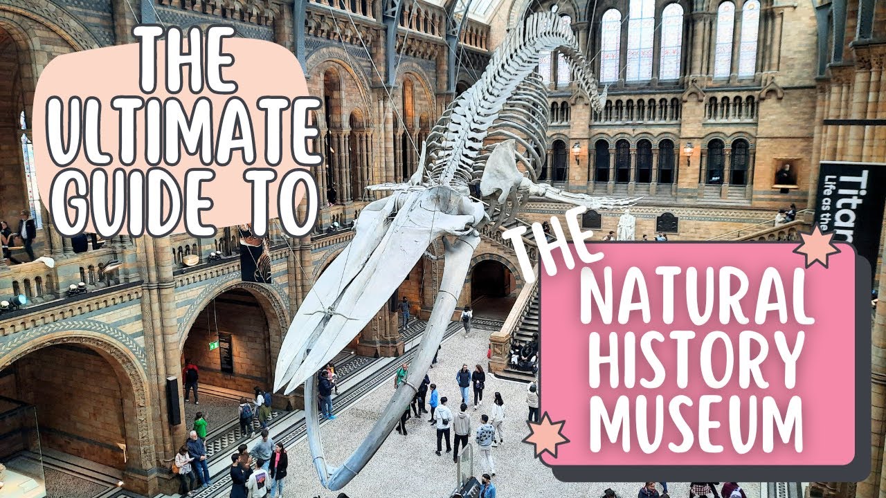 Exploring the Natural History Museum - London's Most Iconic Museum!