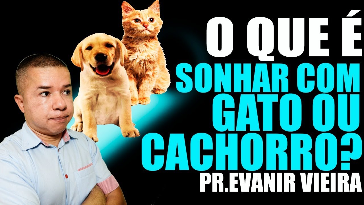 SIGNIFICADO DE SONHAR COM CACHORRO OU GATO! Pastor Evanir Vieira