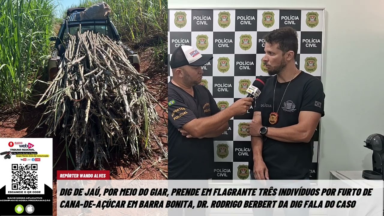 DIG DE JAÚ, POR MEIO DO GIAR, PRENDE EM FLAGRANTE TRÊS INDIVÍDUOS POR FURTO DE CANA-DE-AÇÚCAR 
