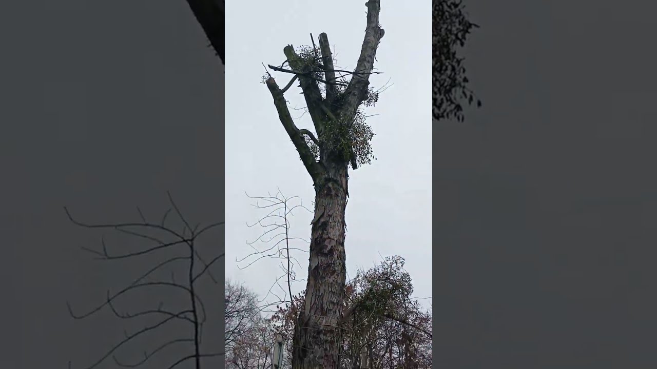 Już ich nie zobaczycie - likwidacja czatowni
