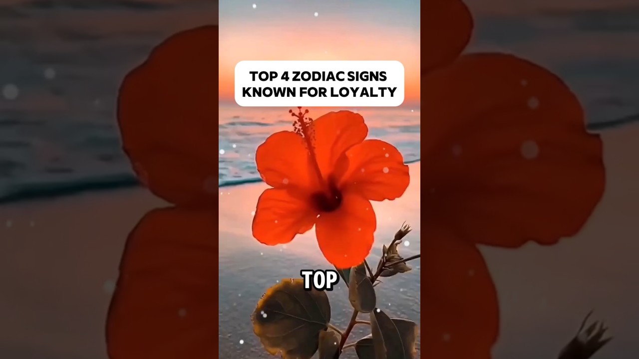 Top 4 Zodiac Signs Known For Loyalty 