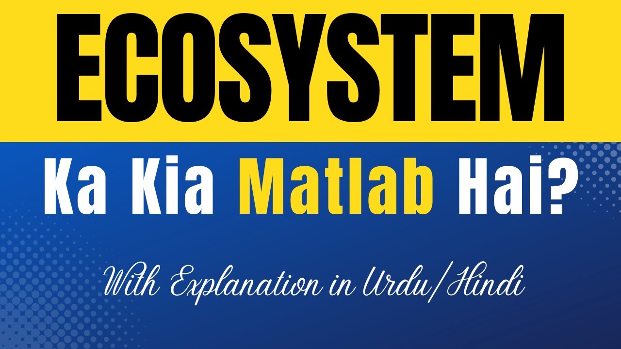 Ecosystem Meaning in Hindi | 'Ecosystem Ka Kya Matlab Hota Hai' Hindi/Urdu Explanation Included