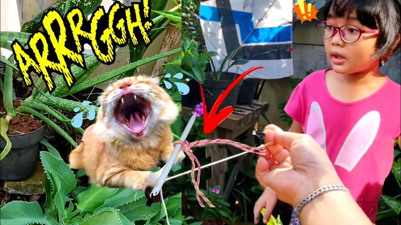KASIHAN, DIA TERLUKA! | HANUM MENYELAMATKAN ANAK KUCING YG TERJERAT TALI LAYANGAN 💞 RESCUE KITTEN