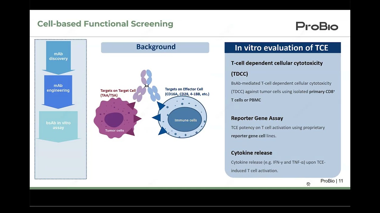 From Lab Bench to GMP Discovering and Translating Advanced Molecules （BsAb, ADC）