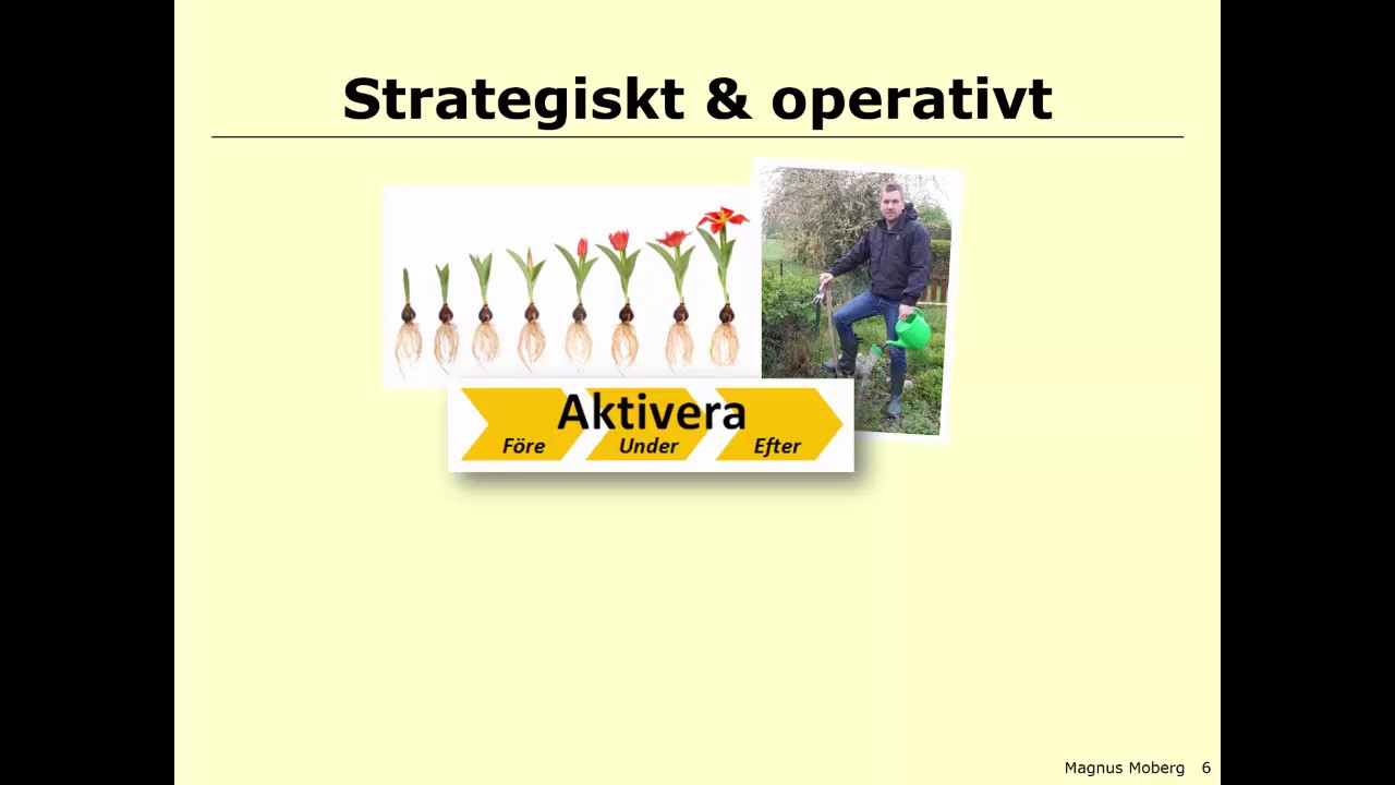 L&auml;rande och utveckling