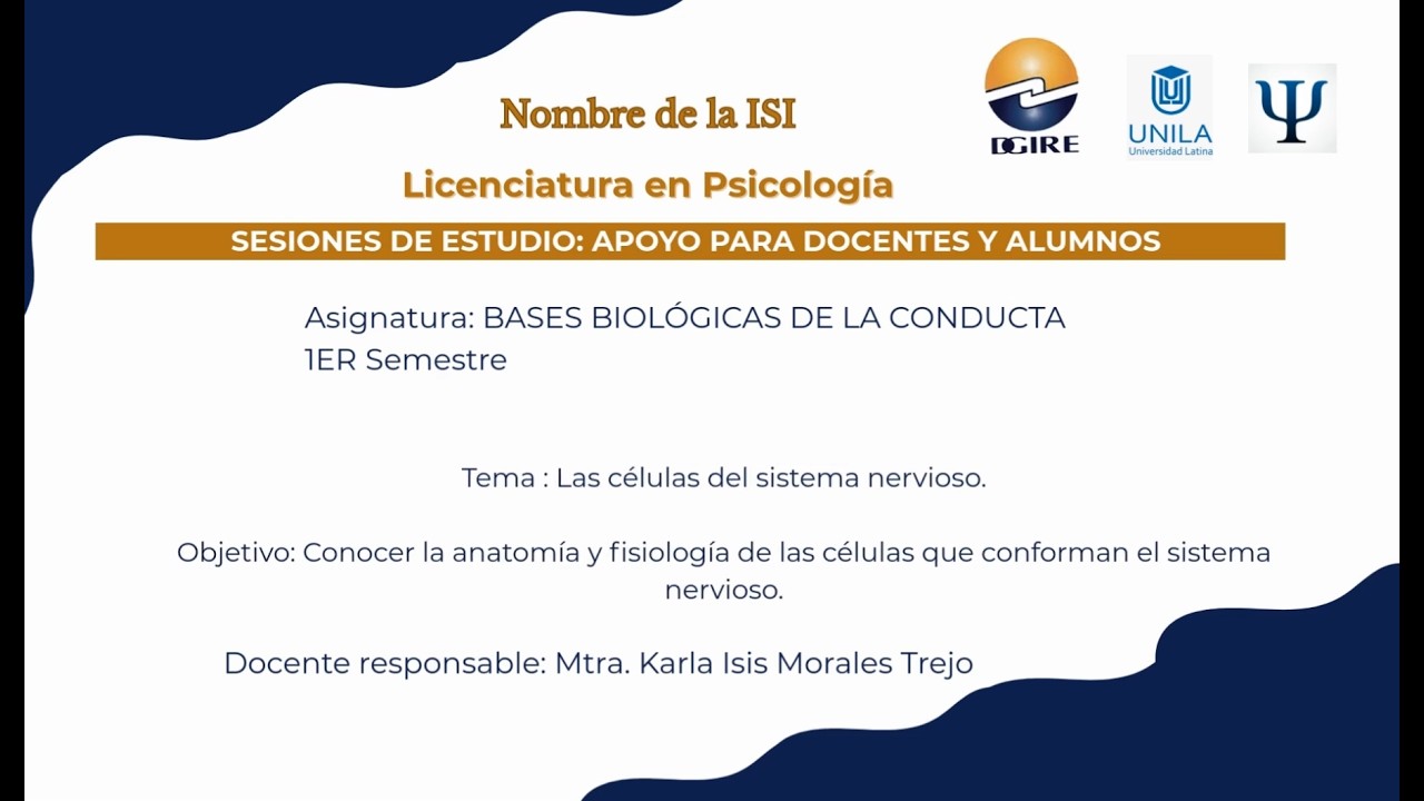 Las células del sistema nervioso