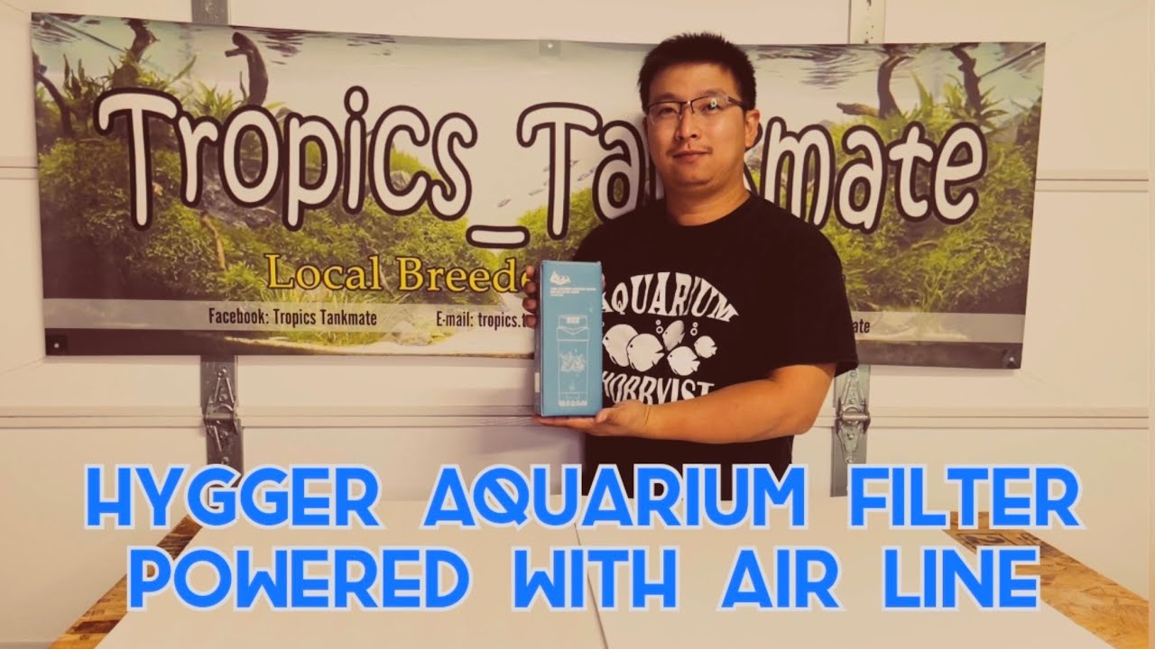 Aquarium Fluid Bed Filter with Bio Media and Filter Sponge