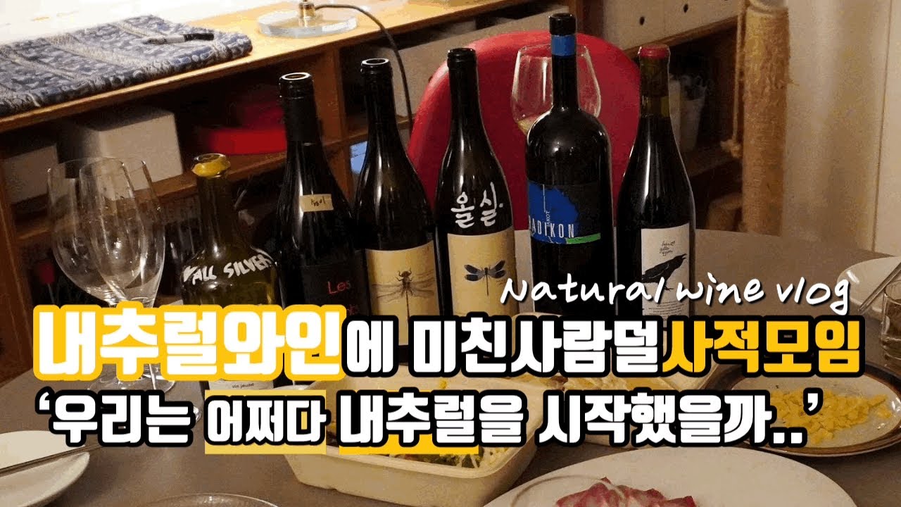 우리는 어쩌다 내추럴와인을 시작했을까? 내추럴와인모임!vlog