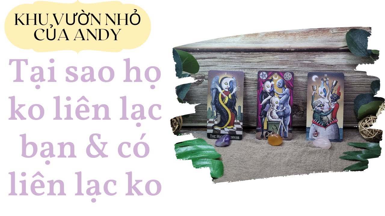 Chọn 1 tụ bài Tarot - Tại sao họ không liên lạc và có liên lạc không ? - Alo Andy