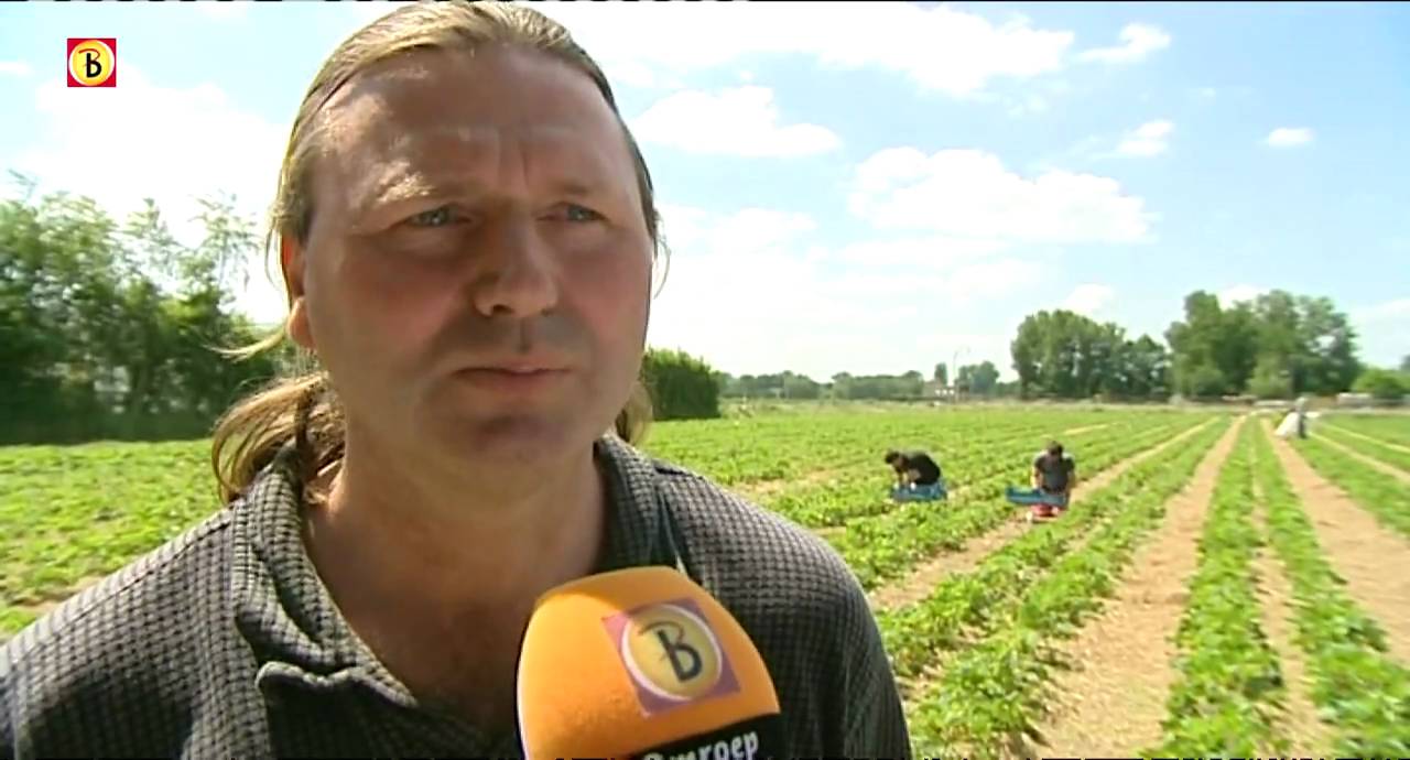 Genoeg vakantiewerk bij tuinbouwbedrijven