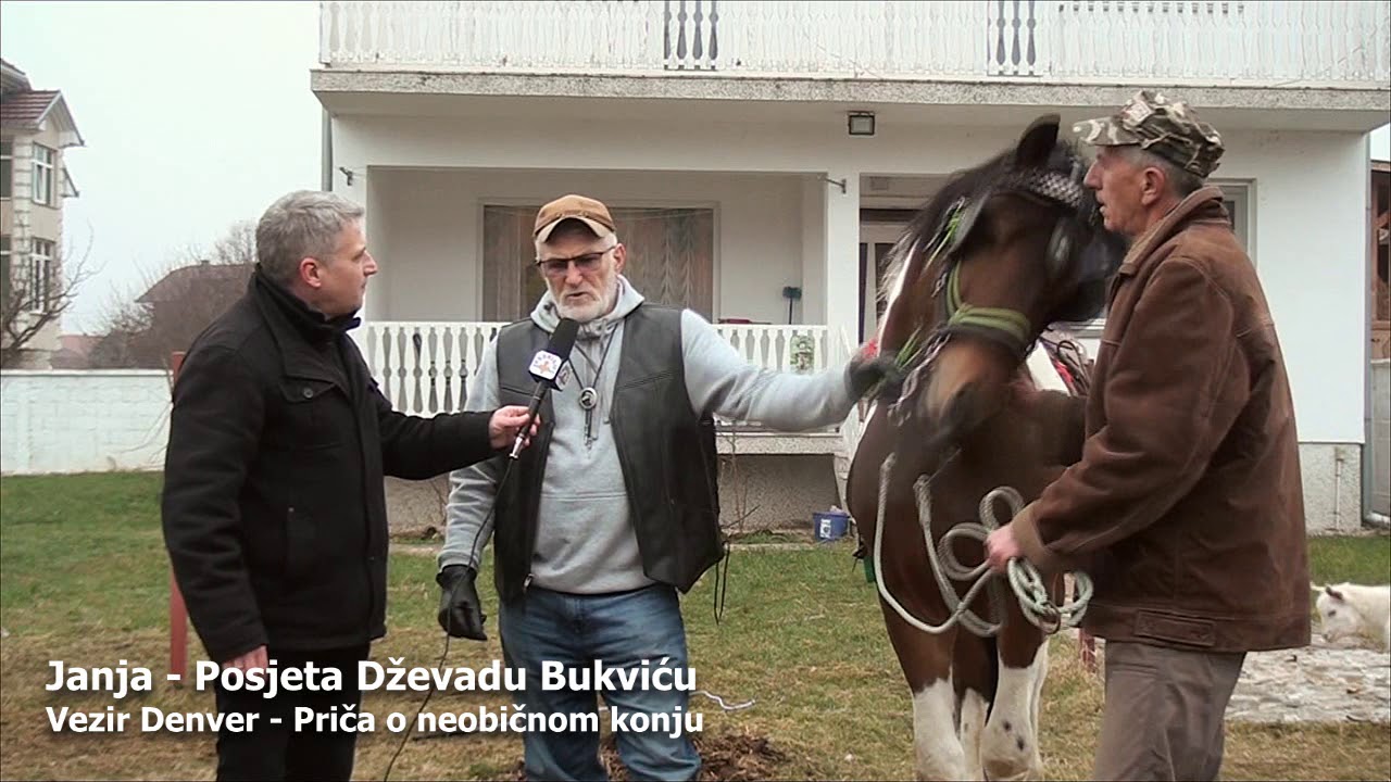 Janja-Posjeta Dzevadu Bukvicu