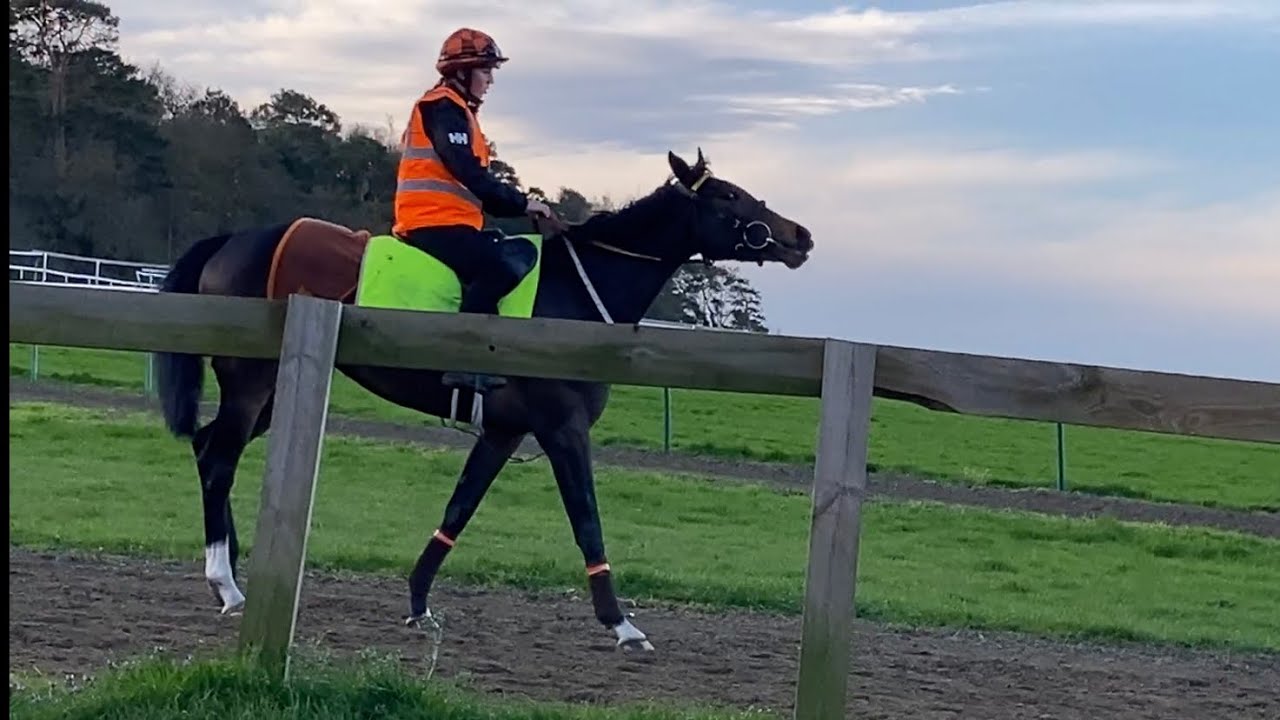 NEWMARKET | Unbelievable!! | Famous Warren Hill Gallops