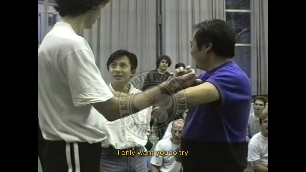 (Part 3) Wong Shun Leung Seminar in Holland 1994 #wingchun
