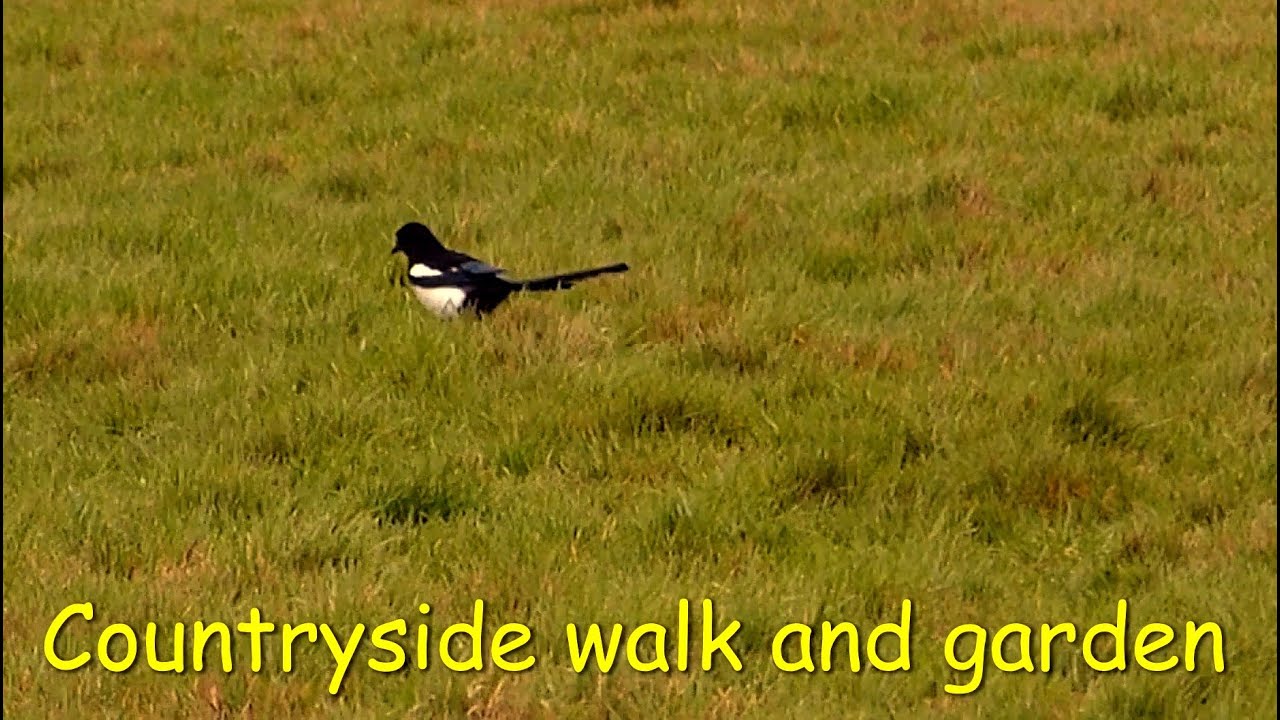 Countryside walk and garden