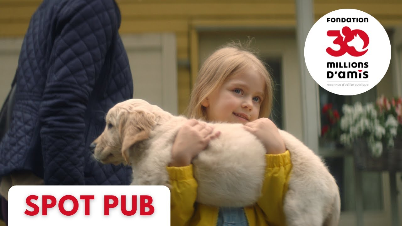 La pub la plus triste du monde - un chien n&rsquo;abandonnera jamais son ma&icirc;tre