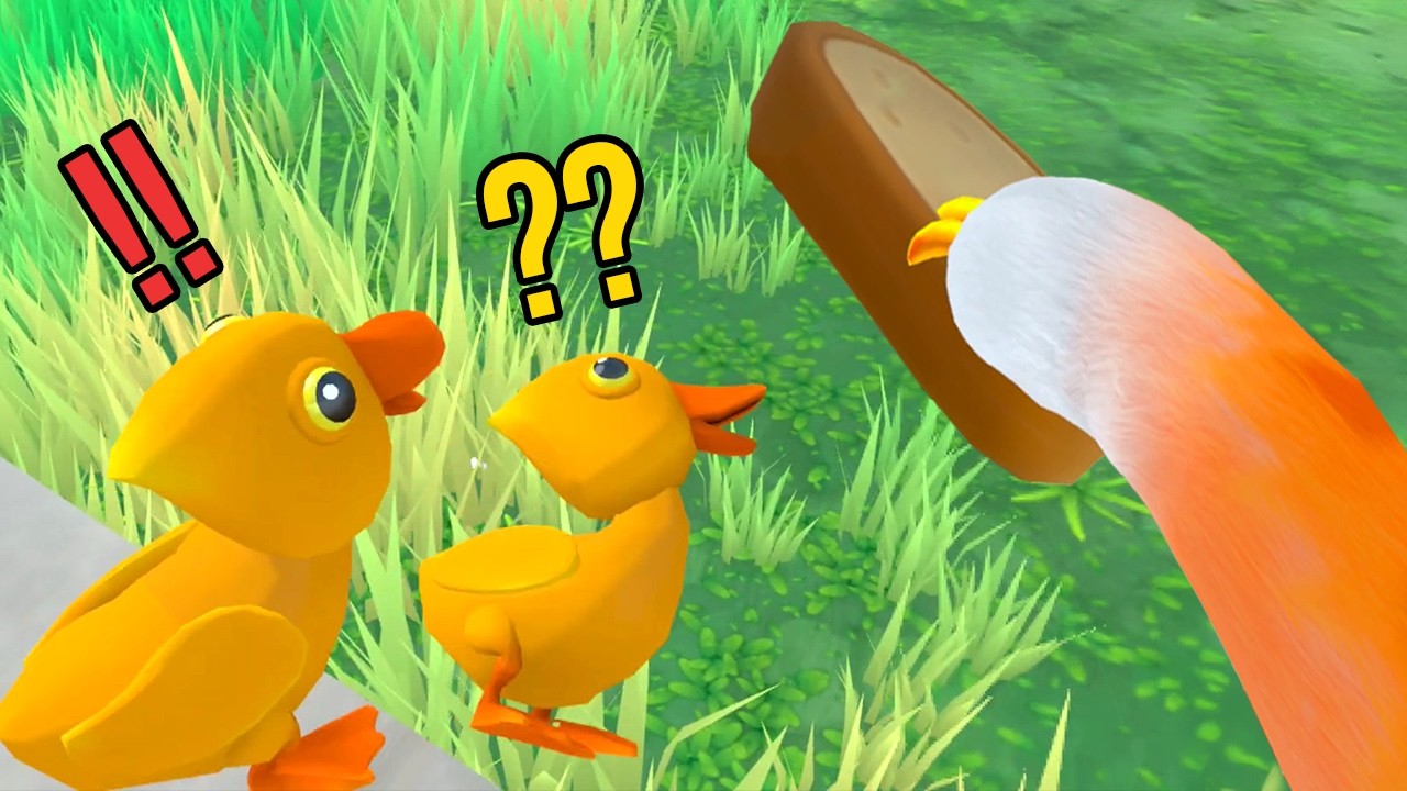 Kočka se stará o kachničky 🐈🦆