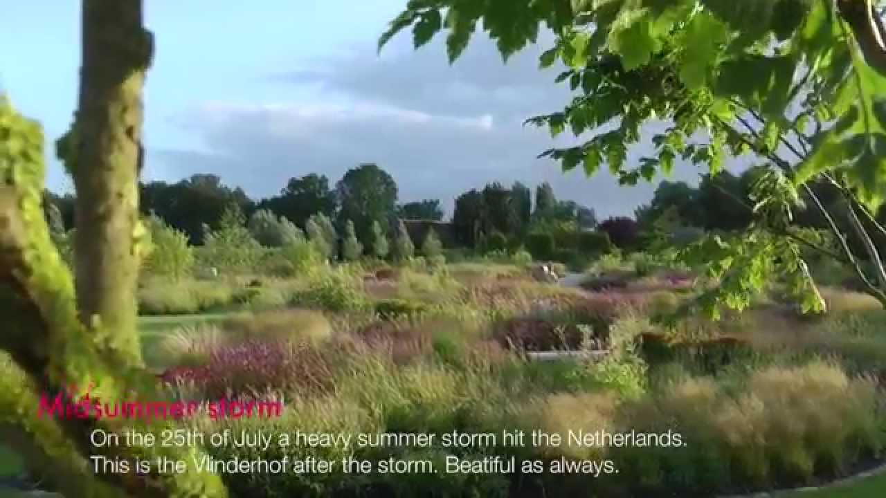 Vlinderhof - after midsummer storm