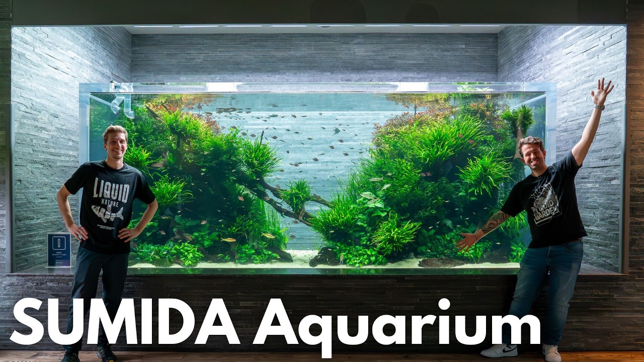 TAKASHI AMANO × SUMIDA AQUARIUM Tour 2024