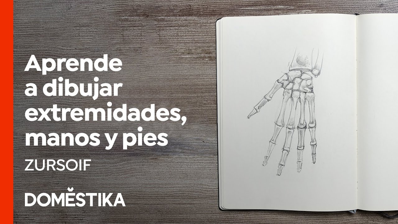 DIBUJO ANATÓMICO de Extremidades, Manos y Pies - Curso Online de Zursoif | Domestika