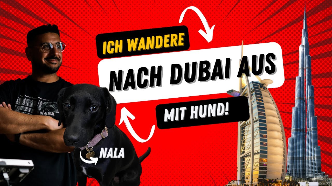 Auswandern nach Dubai mit HUND! Ich verlasse Deutschland nach über 33Jahren! Das solltest DU wissen!