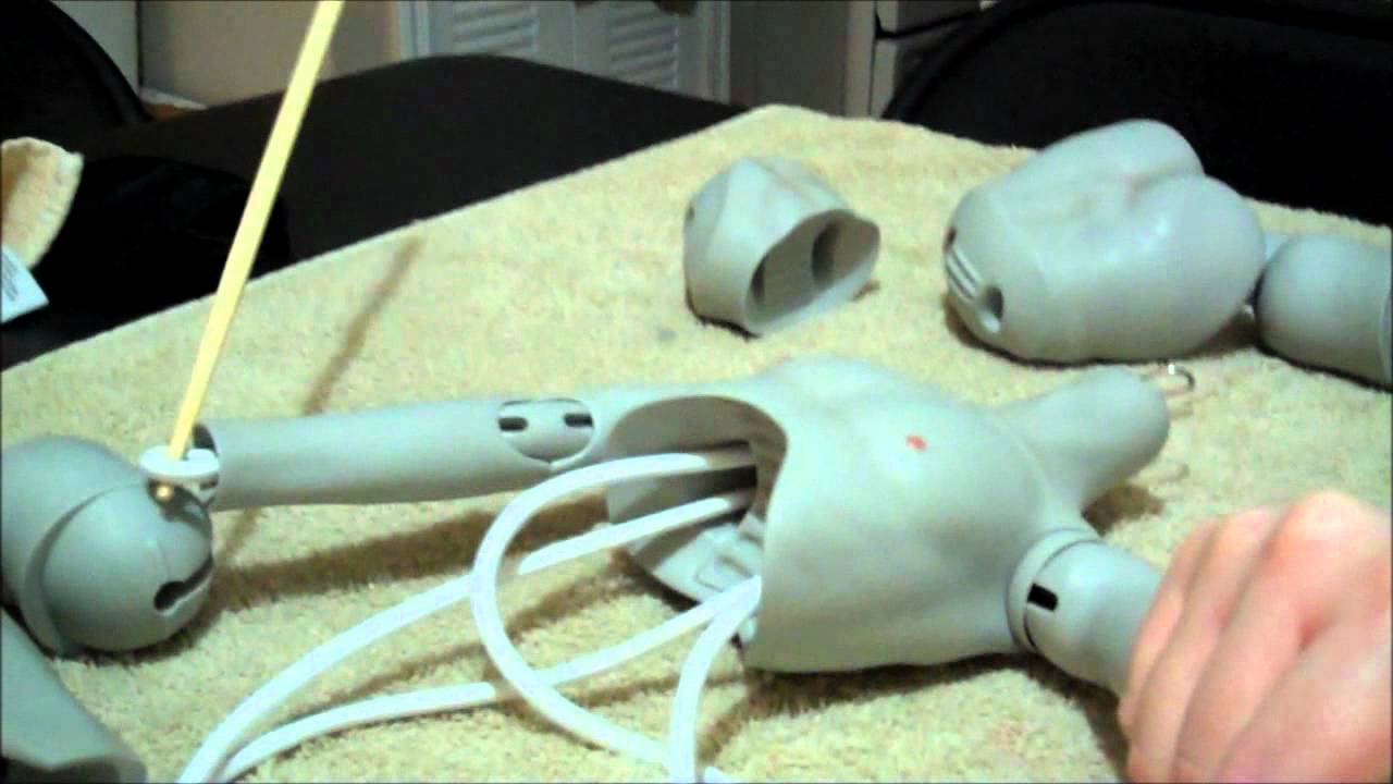 BJD Maintenance Restringing Llyr