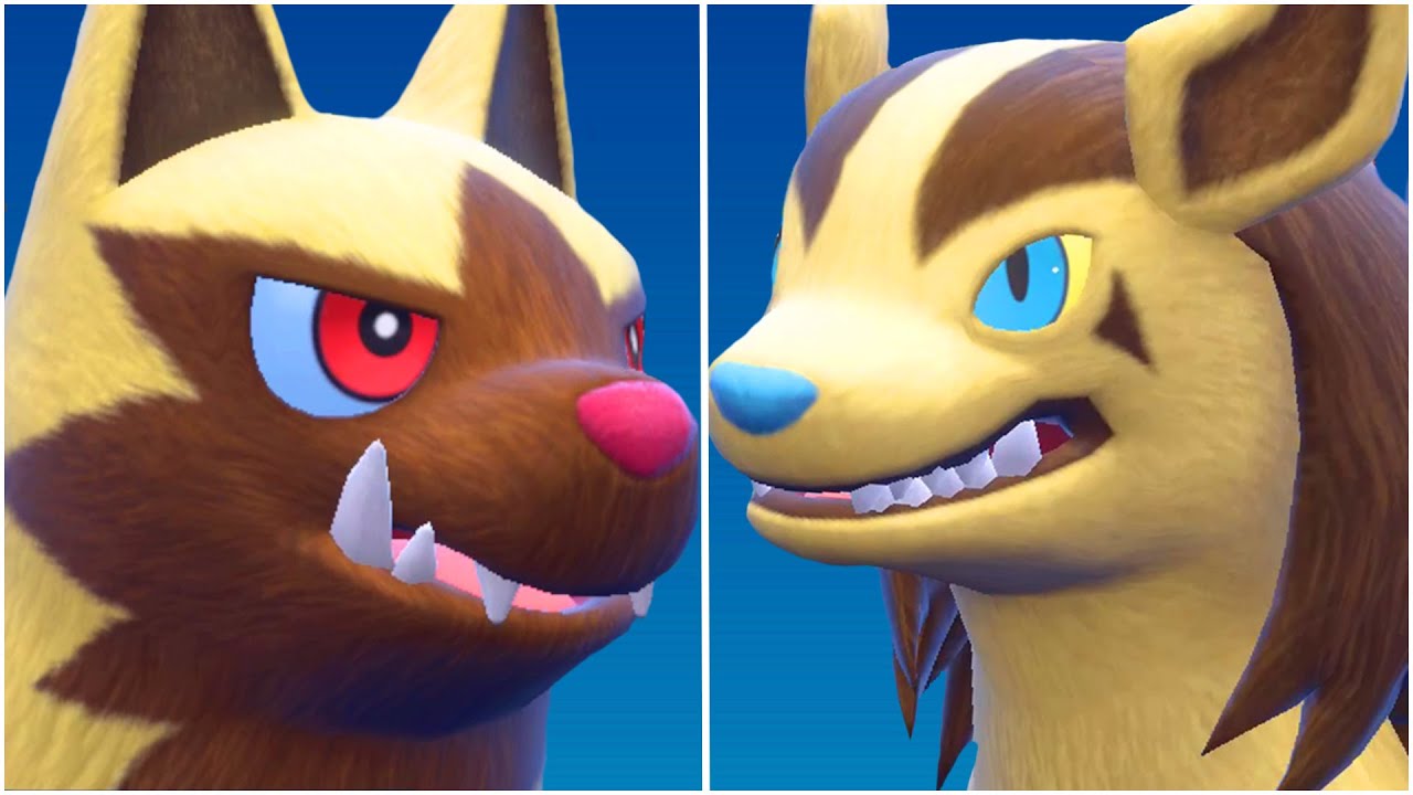 POOCHYENA EVOLUTION TEAM! Shiny Poochyena, Mightyena Moveset Moxie Pokemon Scarlet and Violet