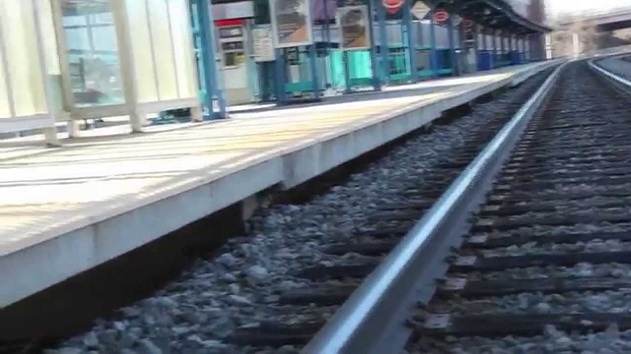 عثمان بشري