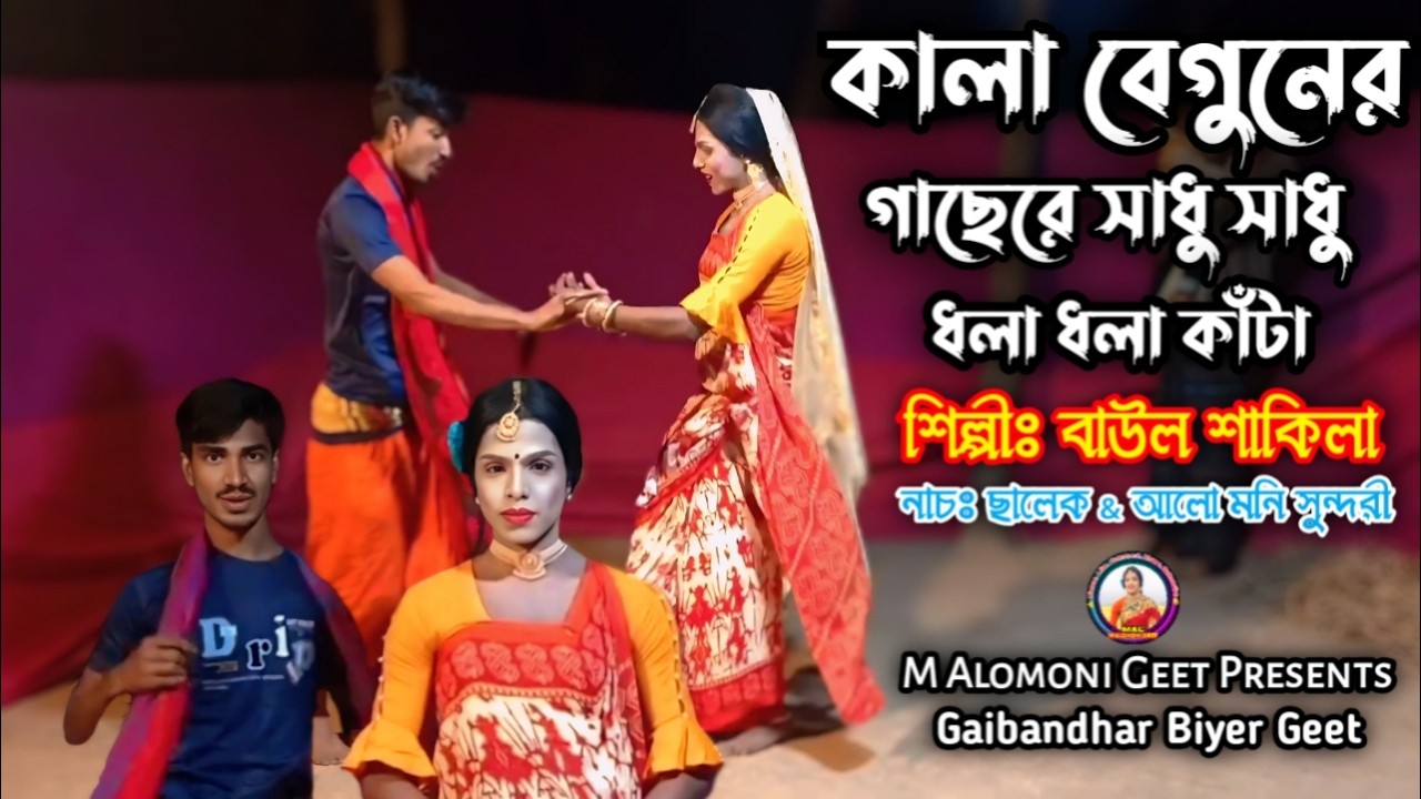 কালা বেগুনের গাছেরে সাধু ধলা ধলা কাঁটা 💥 বিয়ের গীত গাইবান্ধা 💥 ছালেক & আলো মনি 💥 Bangla New Geet