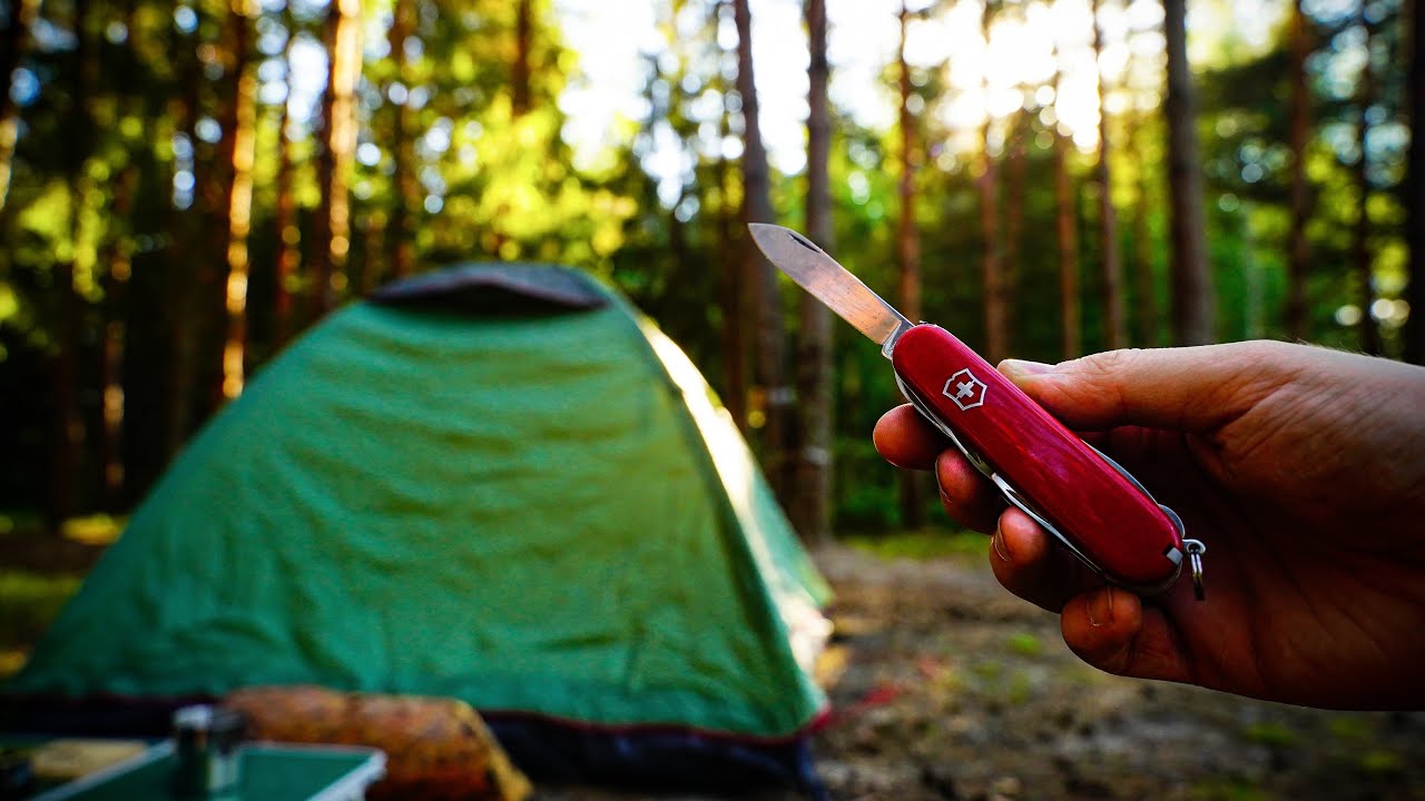 SOLO CAMPING with Swiss Army Knife | Nature ASMR